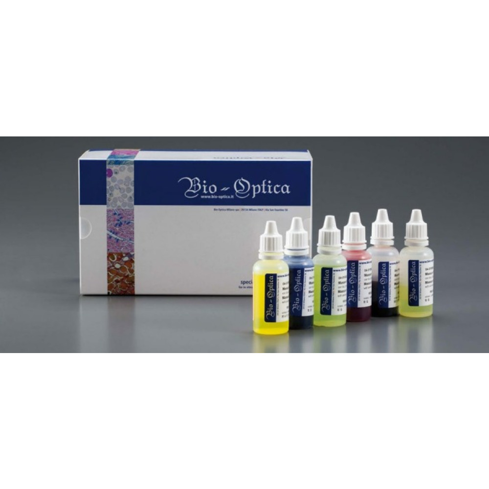 Kit De Plata Metenamina